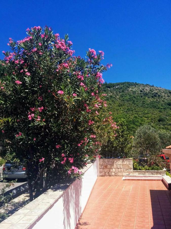 Apartment Anamaria